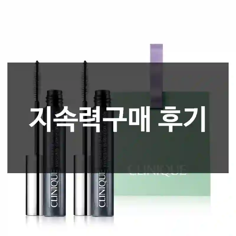 지속력구매 후기