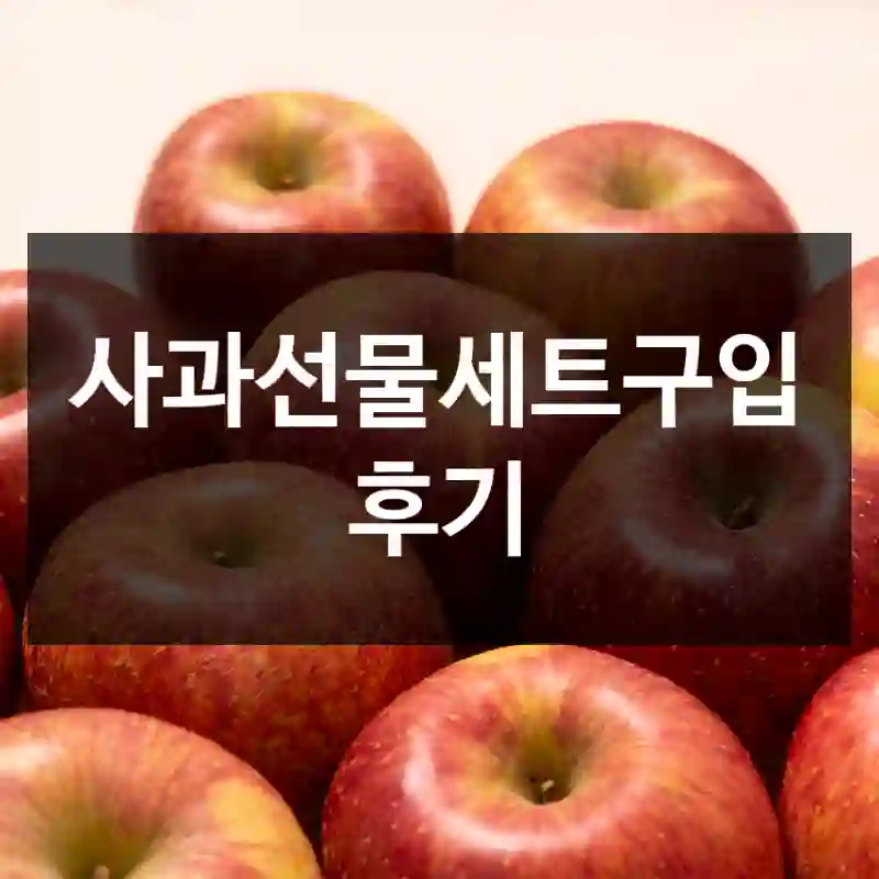 사과선물세트구입 후기