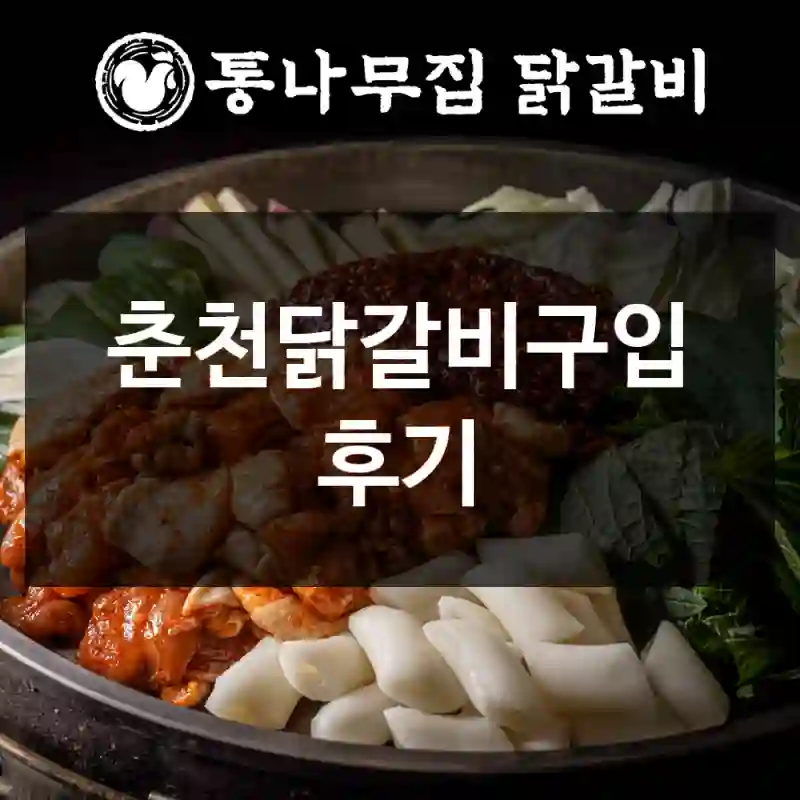 춘천닭갈비구입 후기