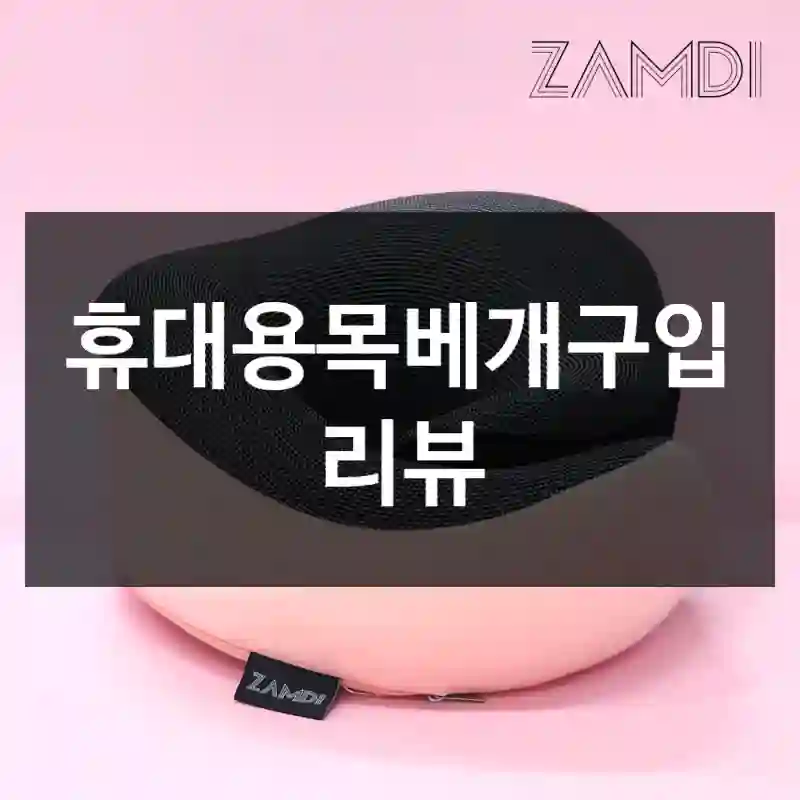 휴대용목베개구입 리뷰