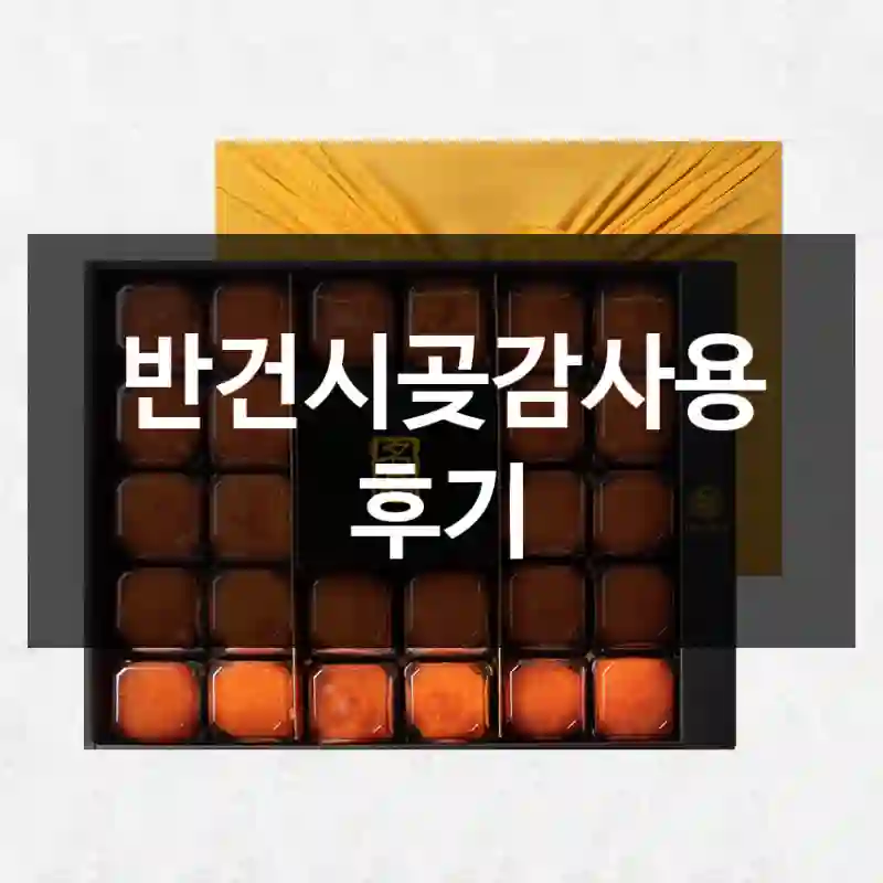 반건시곶감사용 후기