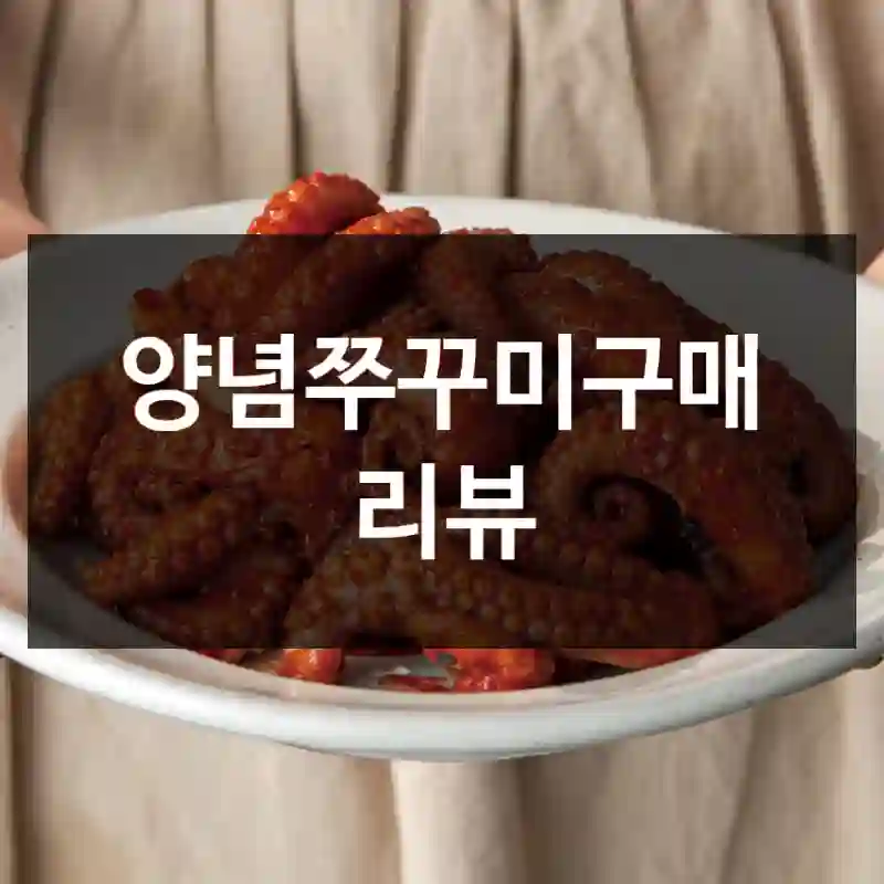 양념쭈꾸미구매 리뷰