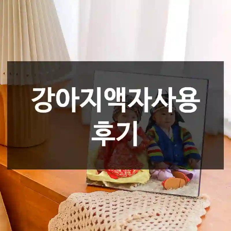 강아지액자사용 후기