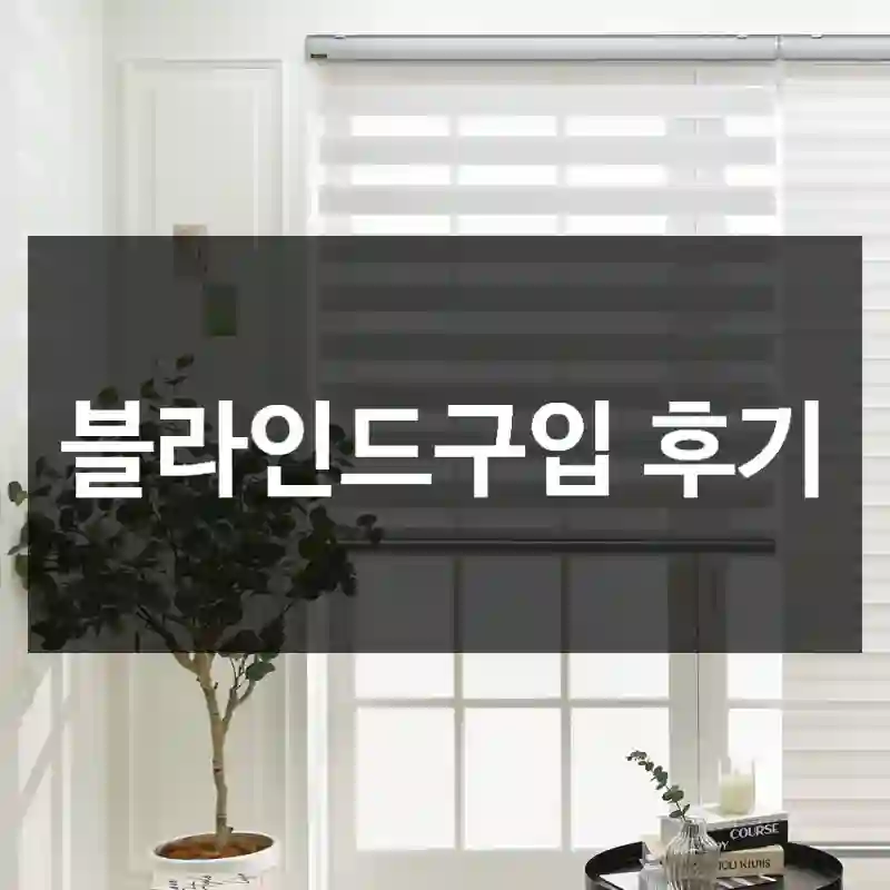 블라인드구입 후기