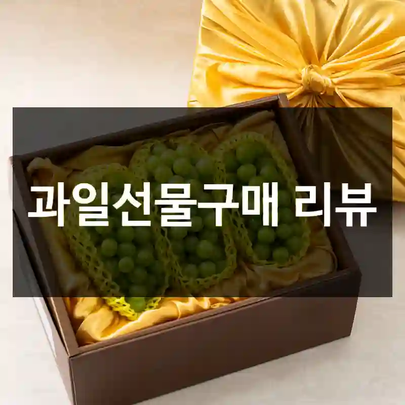 과일선물구매 리뷰