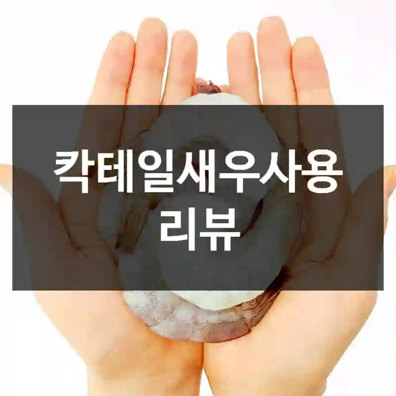 칵테일새우사용 리뷰